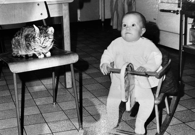 Ein kleines Kind sitzt auf einem Stuhl und beobachtet eine Katze auf einem anderen Stuhl.